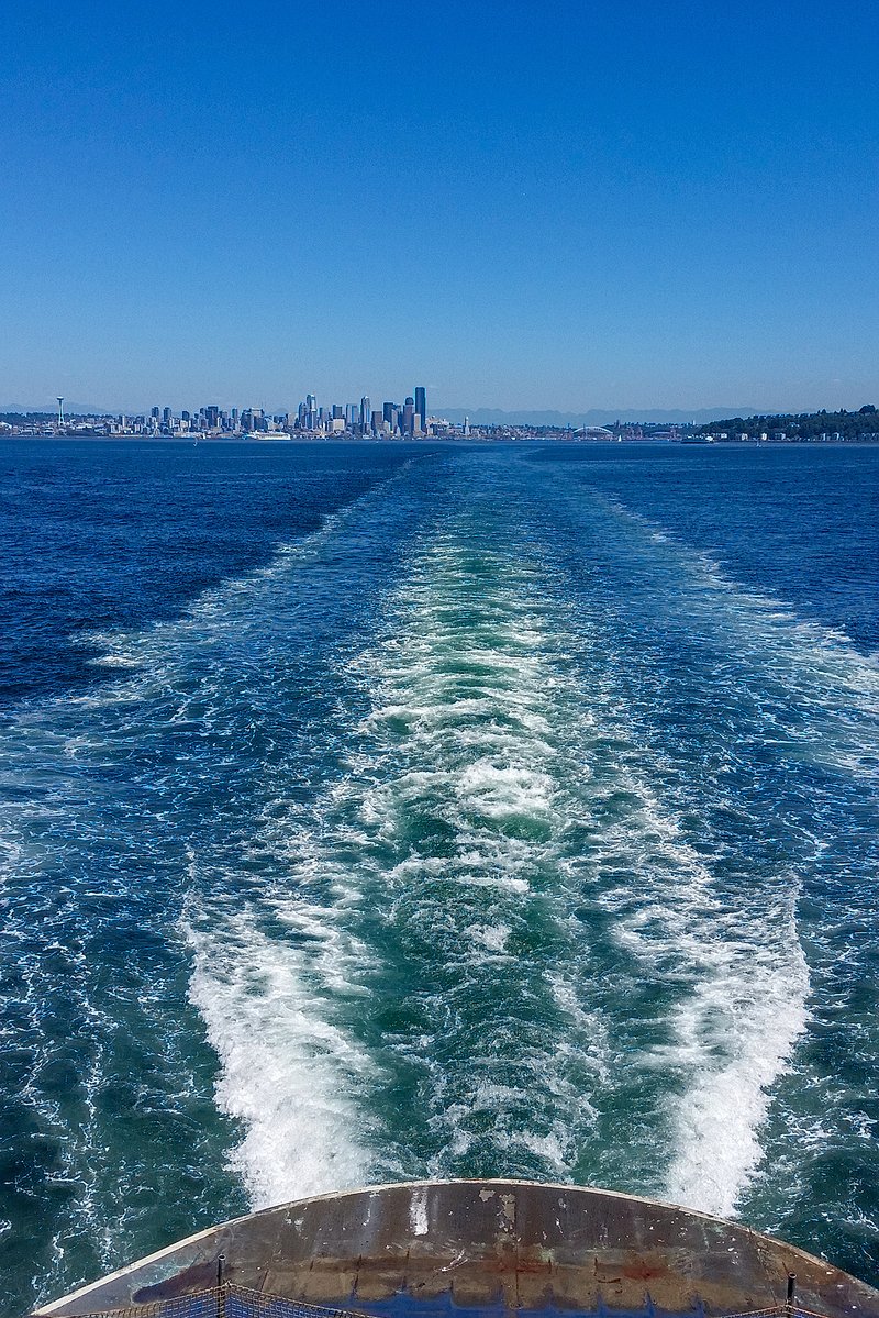 Carl Prothman tweet media