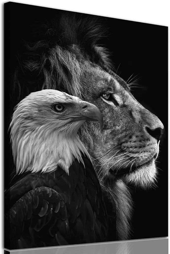 Serhatinho tweet media