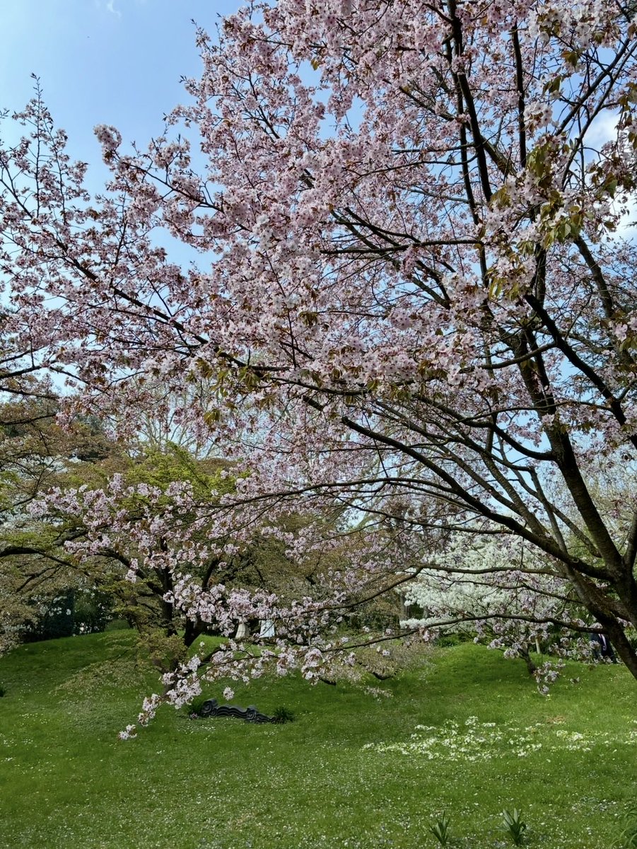 Brigitte Fleurot tweet media