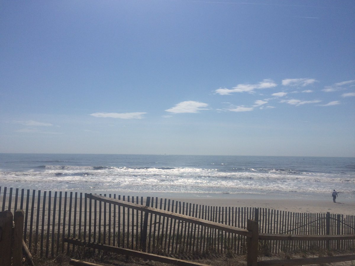 sarah🪽 tweet media