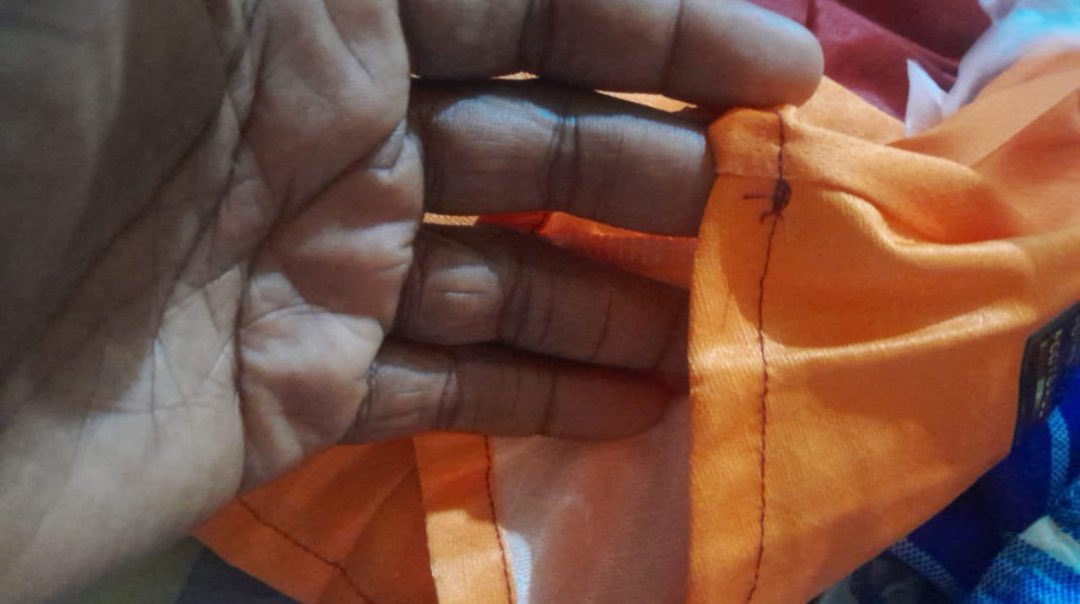 BIG LEO🦅 tweet media