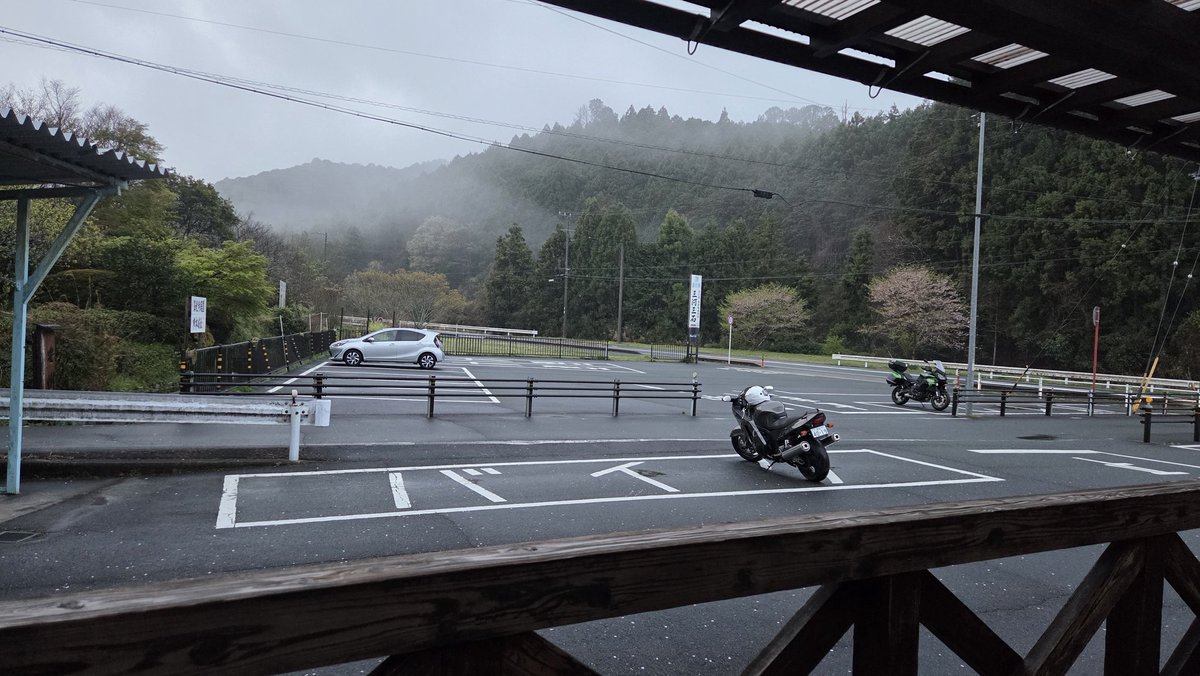 でこいさん tweet media