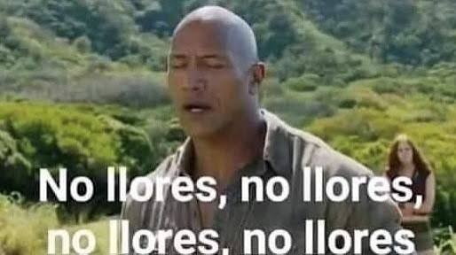 Simio con traje tweet media