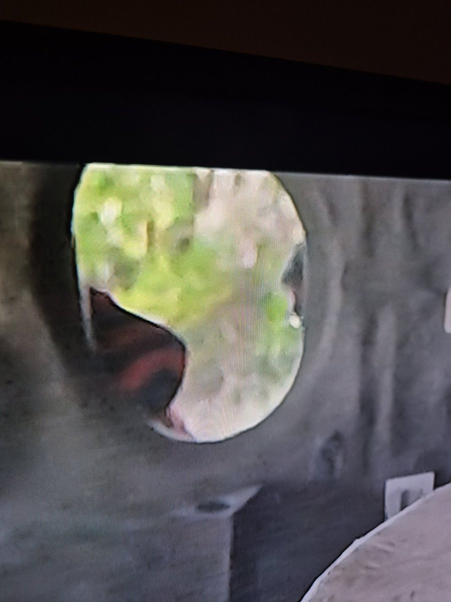 Annemeja's tweet photo. @IlonaIzabella Geen spiegel. Een paar seconde later zie je duidelijk iemand met een kort kapsel en een bril. https://t.co/NAc6ZWTQYv