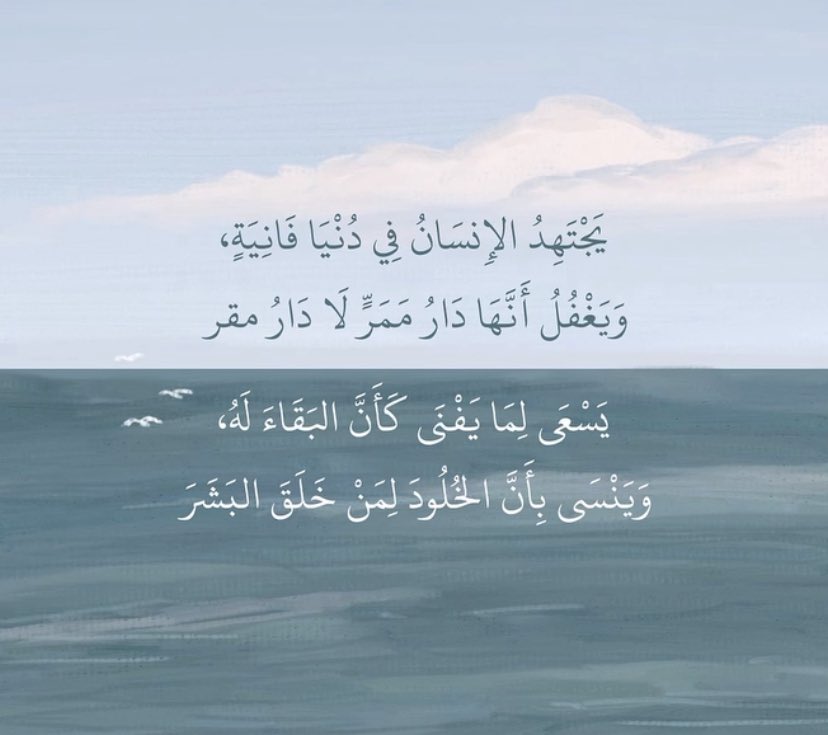 سَكَن tweet media