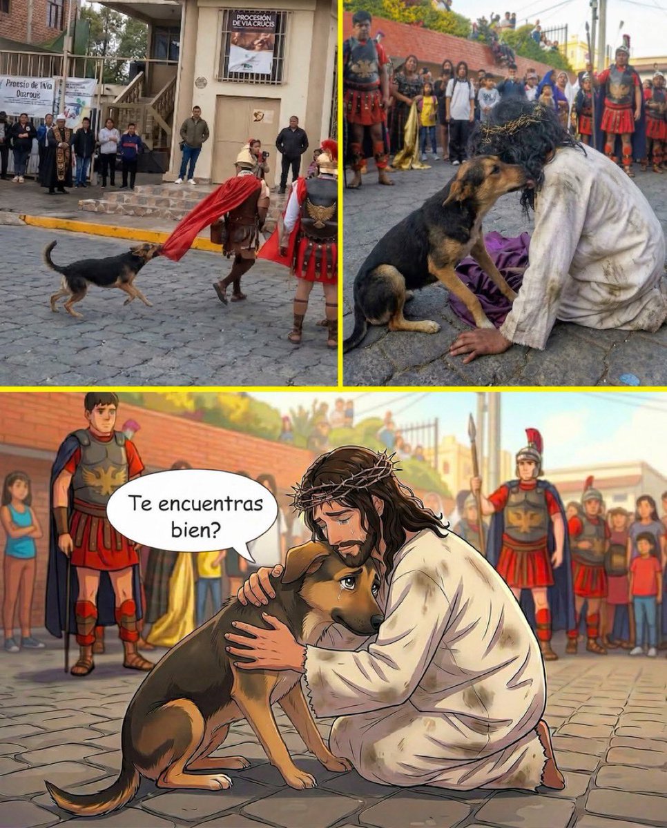 Freedom 4ta😆 tweet media