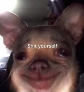 Robo🎙️ tweet media