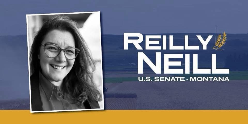 problembear tweet media