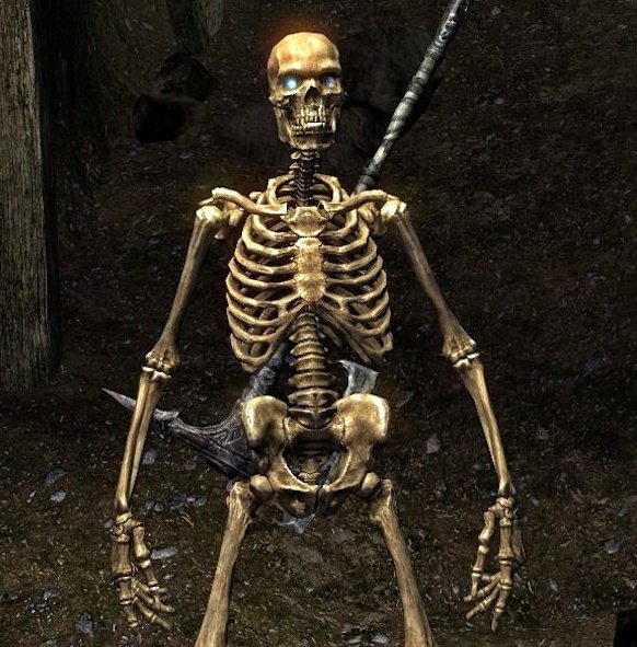 Constant Disappointment tweet media