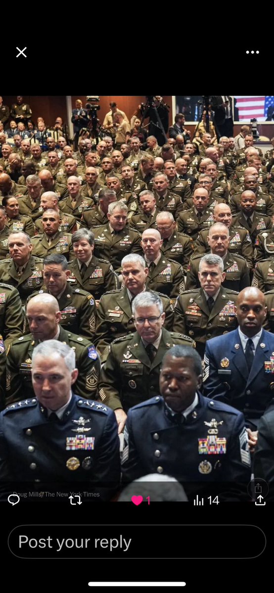 Natural Selection tweet media