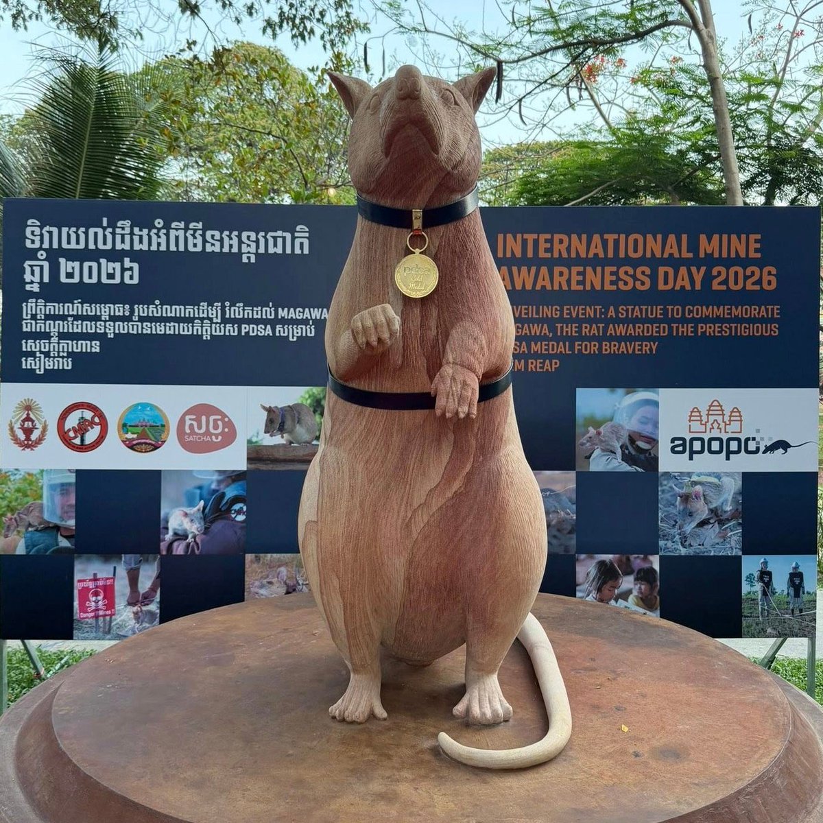 Pusholder tweet media