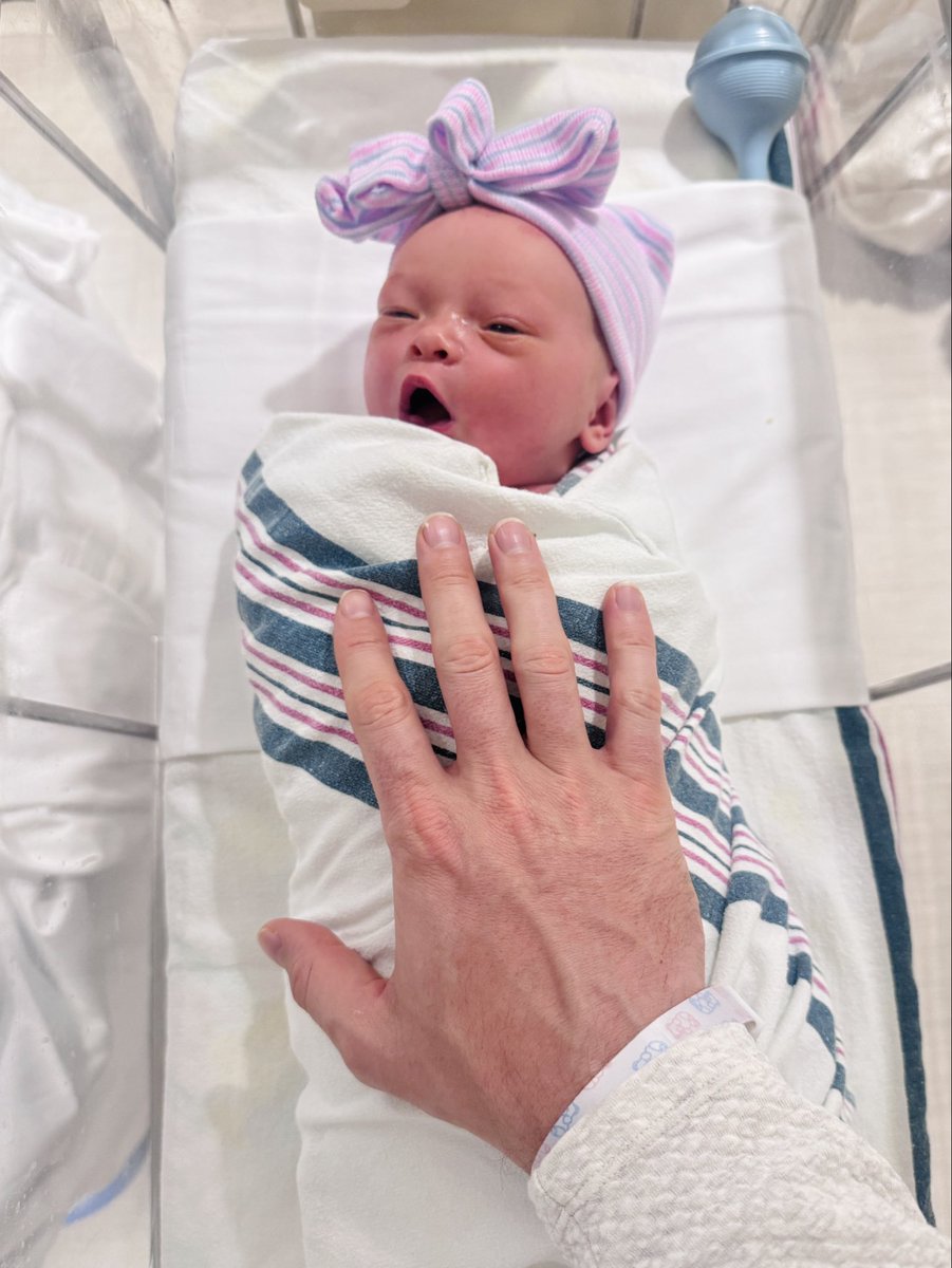 Maxwell Maher tweet media