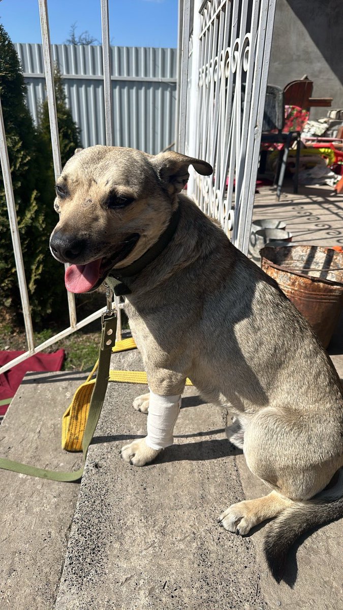 April Huggett tweet media