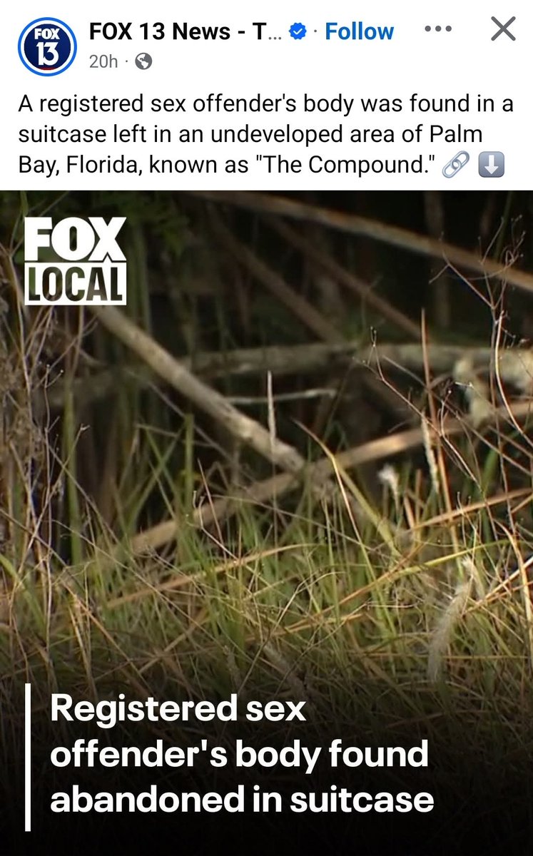 Blanco Beet 🐝 tweet media