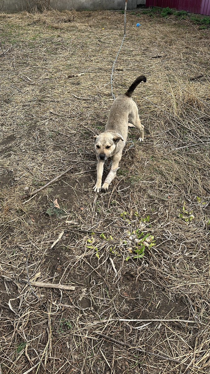 April Huggett tweet media