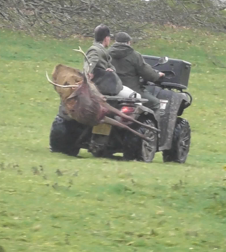 North Dorset Hunt Saboteurs tweet media