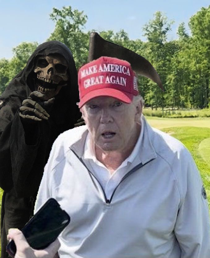 💛💙 🌊 Willow🌊💙💛 tweet media