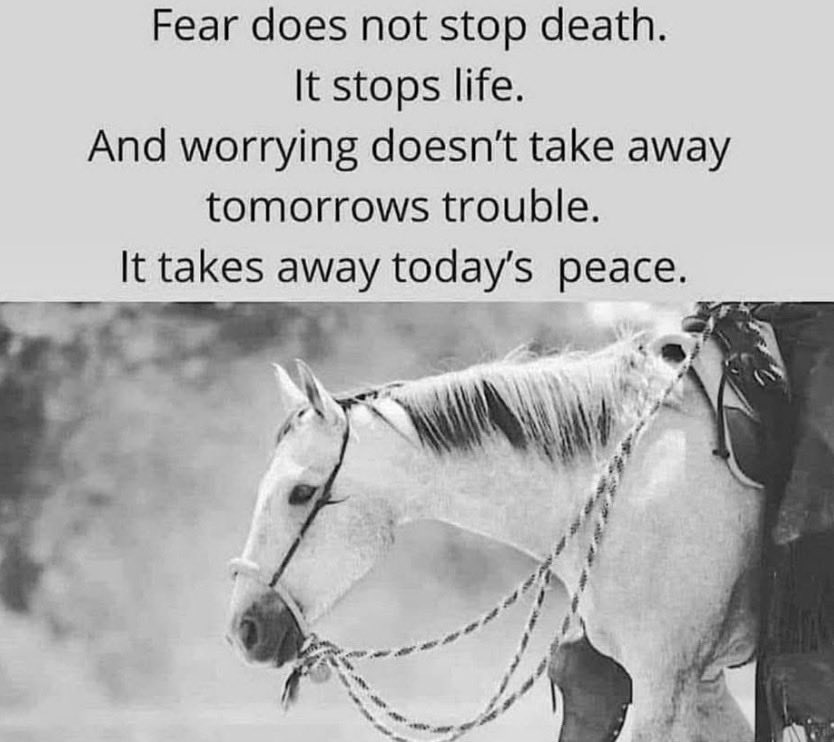 <a href="/Diegoranchinc/">DIEGO RANCH INC 🇺🇸</a> This reminded me of you and the outstanding love you have for the people you help. 💖
I especially thought of the young girl that inspired the design for the new T-shirt. 🙏🏼💓🐎