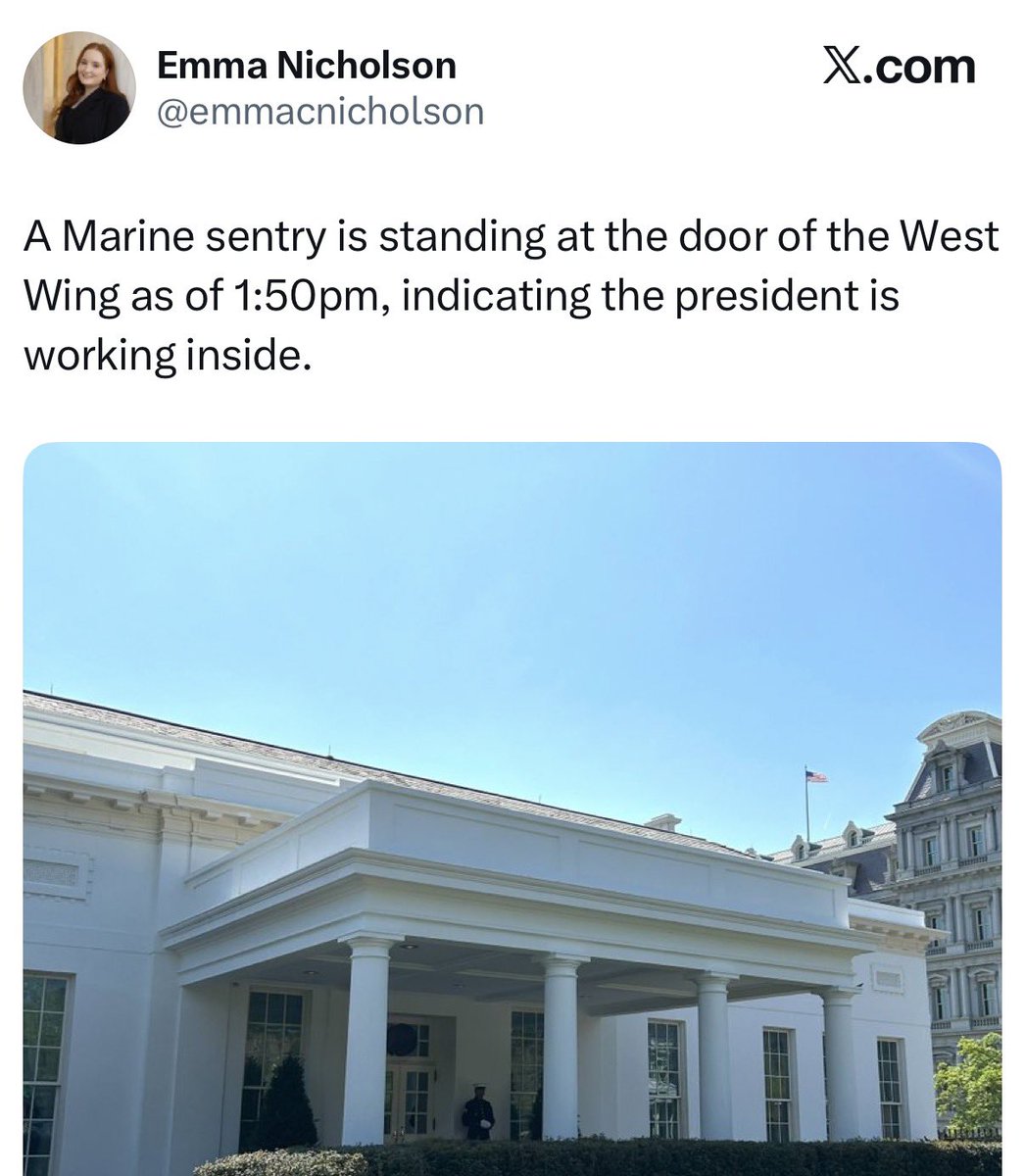 Benny Johnson tweet media