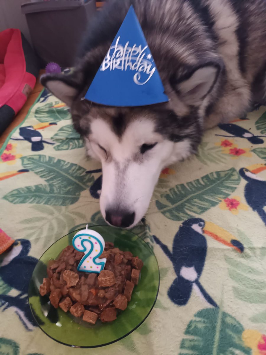 Adrix 🔜 Ibercon tweet media