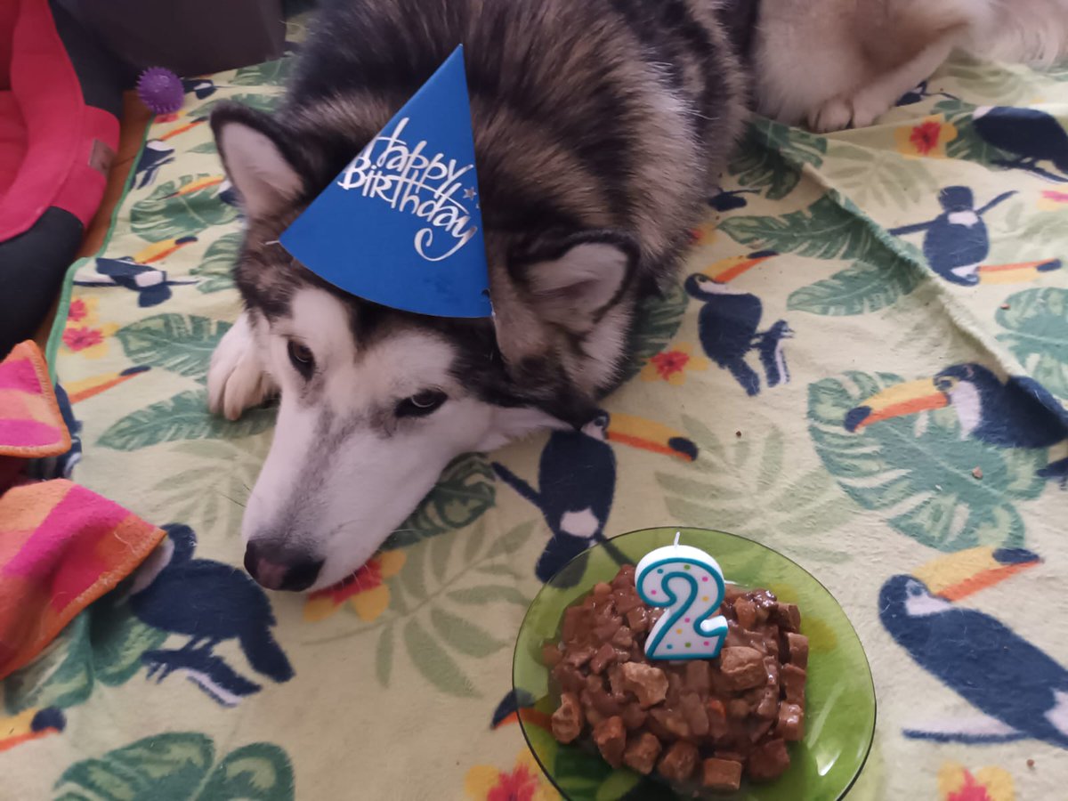 Adrix 🔜 Ibercon tweet media