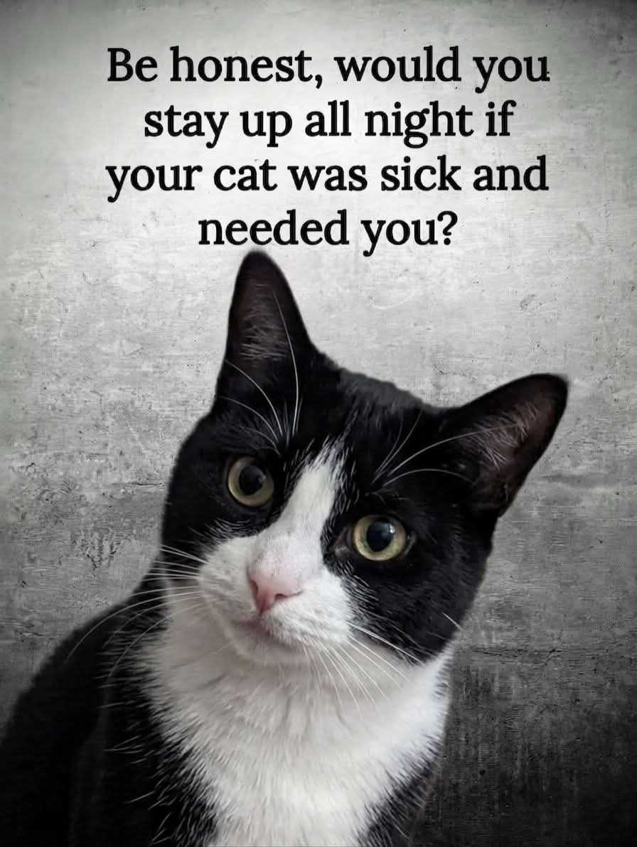 Mary 🕊️ tweet media