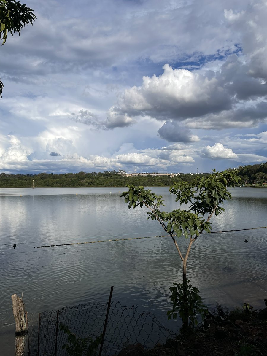 𝖑𝖚𝖈𝖆𝖘⁷ ★ • 95 • V tweet media