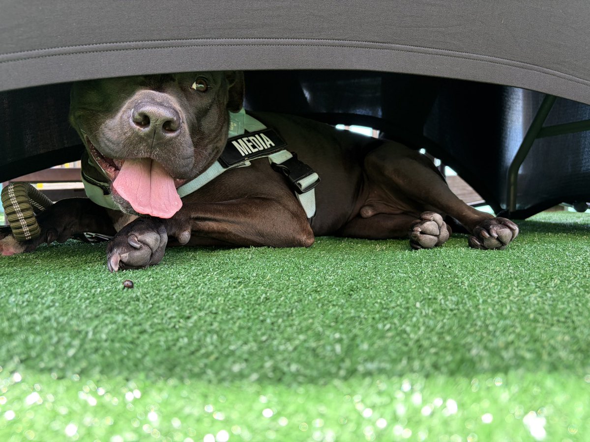 Gwen Filosa Media Key West tweet media