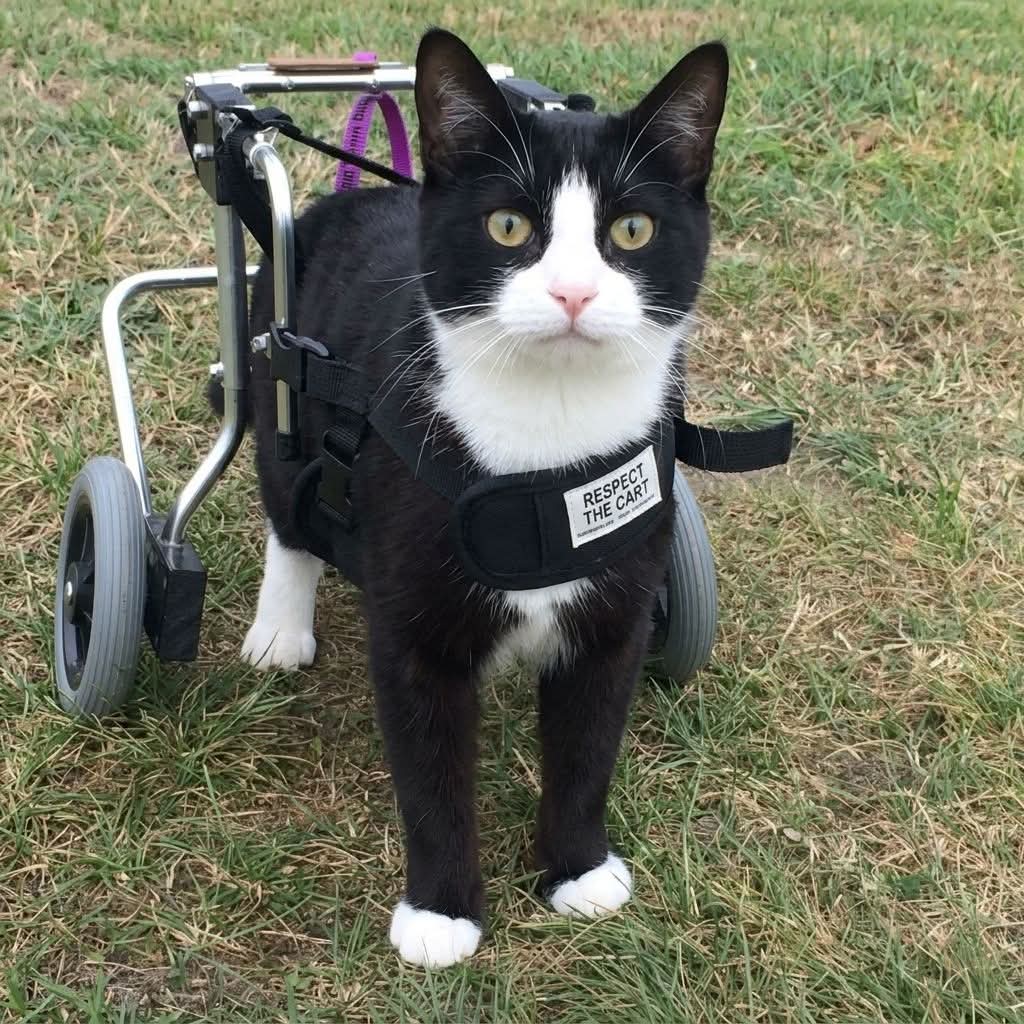 Mary 🕊️ tweet media