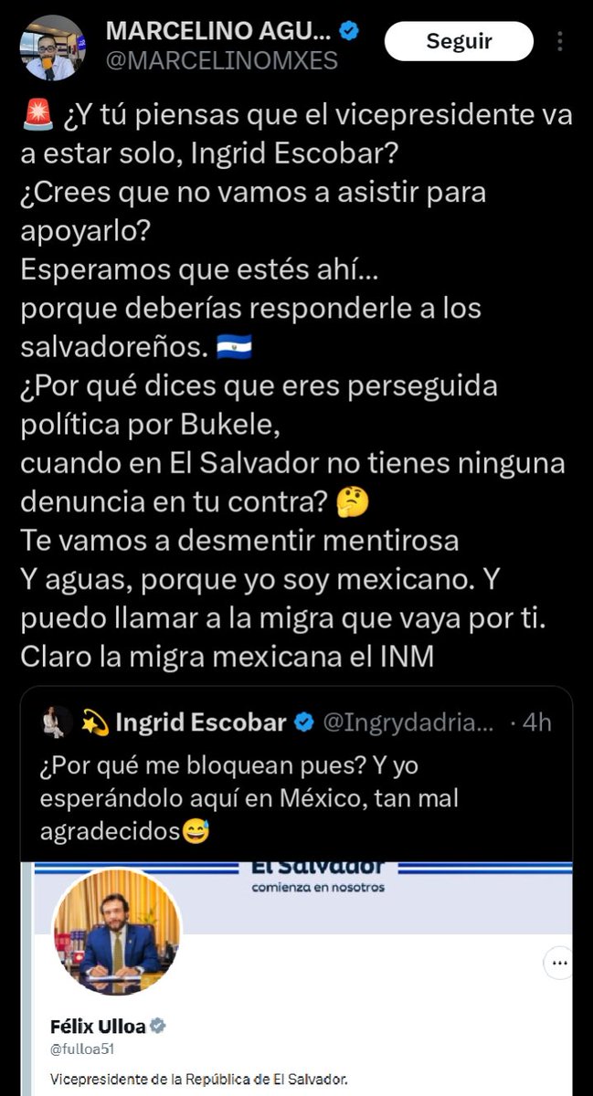💫 Ingrid Escobar tweet media