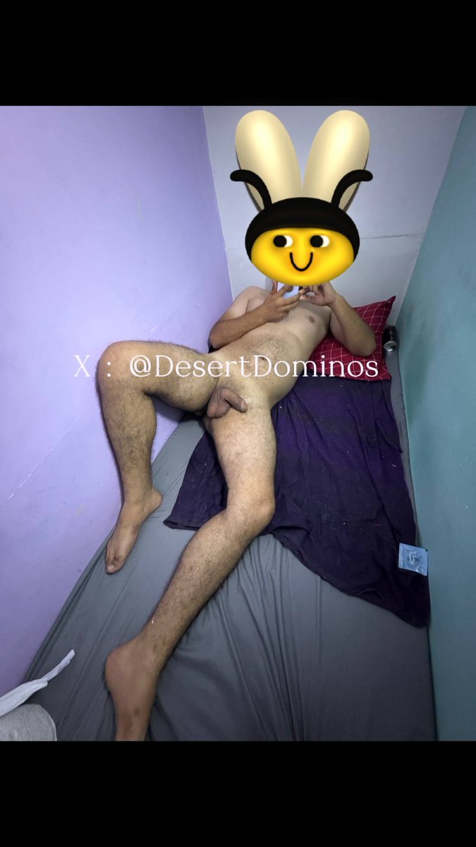 Desert Dominos (Alpha Top) tweet media