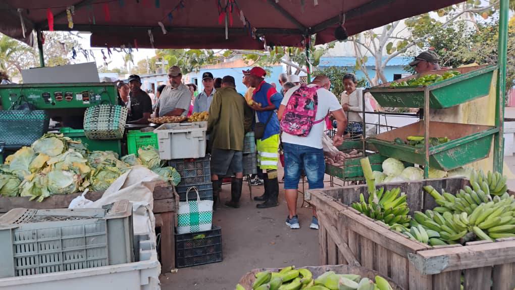 rlicea_mojena's tweet photo. Los pineros trabajan incansablemente para romper el Bloqueo Genocida de los EE.UU, muestra de ello, es la Feria que se realiza todos los sábados, con una gran variedad de productos, para satisfacer las demandas de nuestro pueblo #IslaDeLaJuventud #SentirPinero #CubaEstáFirme https://t.co/3WlpqsMBp2