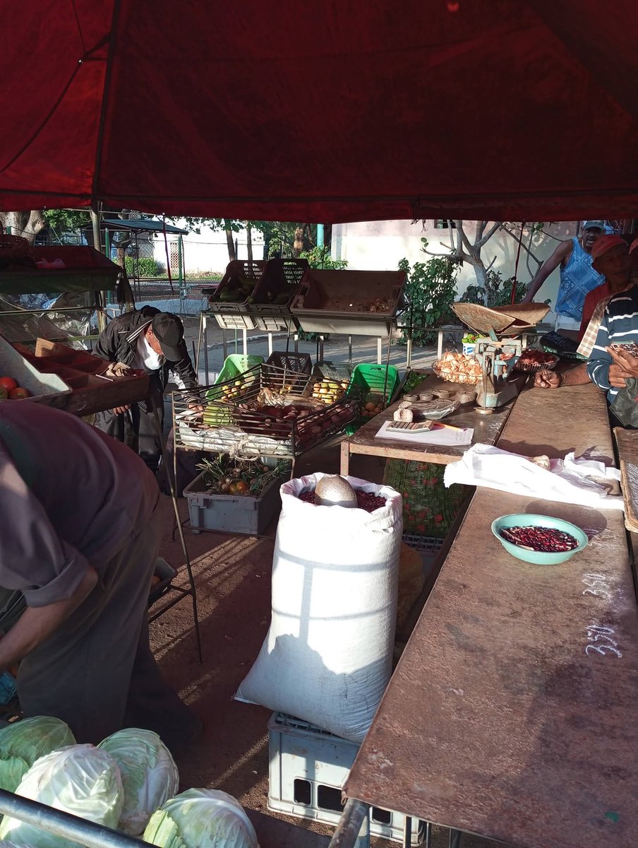 rlicea_mojena's tweet photo. Los pineros trabajan incansablemente para romper el Bloqueo Genocida de los EE.UU, muestra de ello, es la Feria que se realiza todos los sábados, con una gran variedad de productos, para satisfacer las demandas de nuestro pueblo #IslaDeLaJuventud #SentirPinero #CubaEstáFirme https://t.co/3WlpqsMBp2