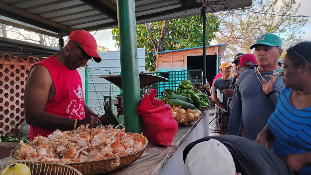rlicea_mojena's tweet photo. Los pineros trabajan incansablemente para romper el Bloqueo Genocida de los EE.UU, muestra de ello, es la Feria que se realiza todos los sábados, con una gran variedad de productos, para satisfacer las demandas de nuestro pueblo #IslaDeLaJuventud #SentirPinero #CubaEstáFirme https://t.co/3WlpqsMBp2