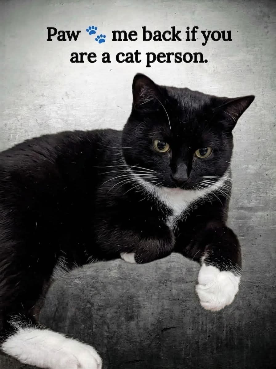 Mary 🕊️ tweet media