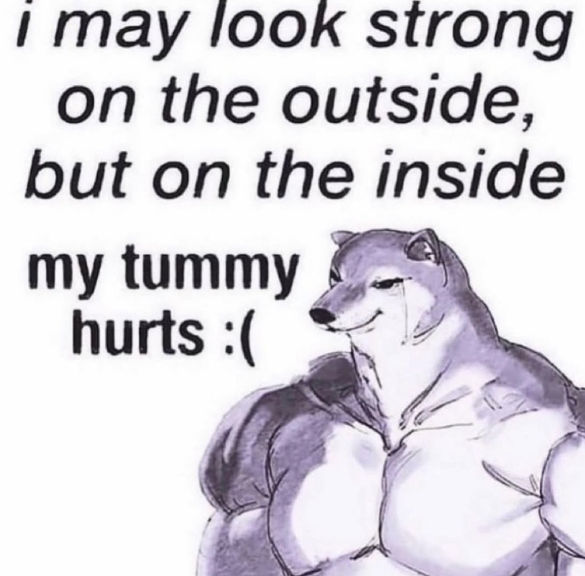 Respectful Memes tweet media