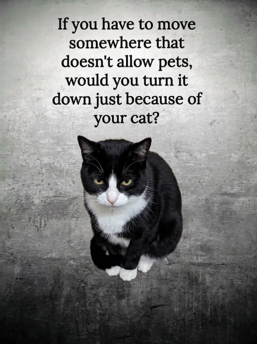 Mary 🕊️ tweet media