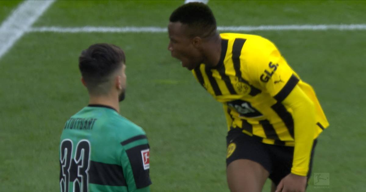 Candy "Super-Recognizer" Omega (P) tweet media