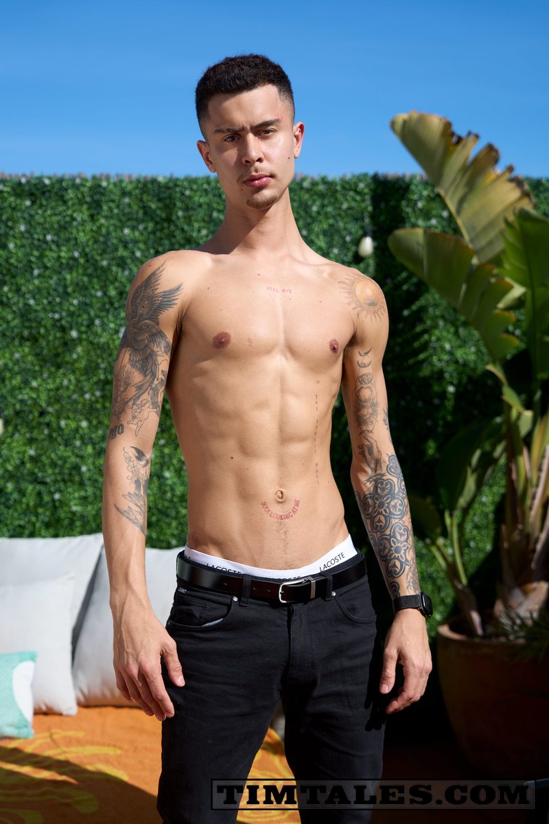 Timtales tweet media