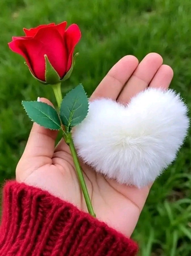 𓆩 ✧ وَتِـــــــيـــــــن ✧ 𓂀 𓆪 ✨ tweet media