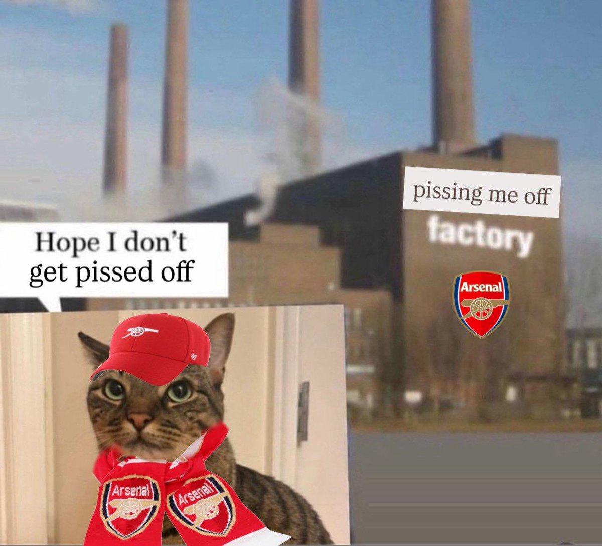 Sebastian tweet media