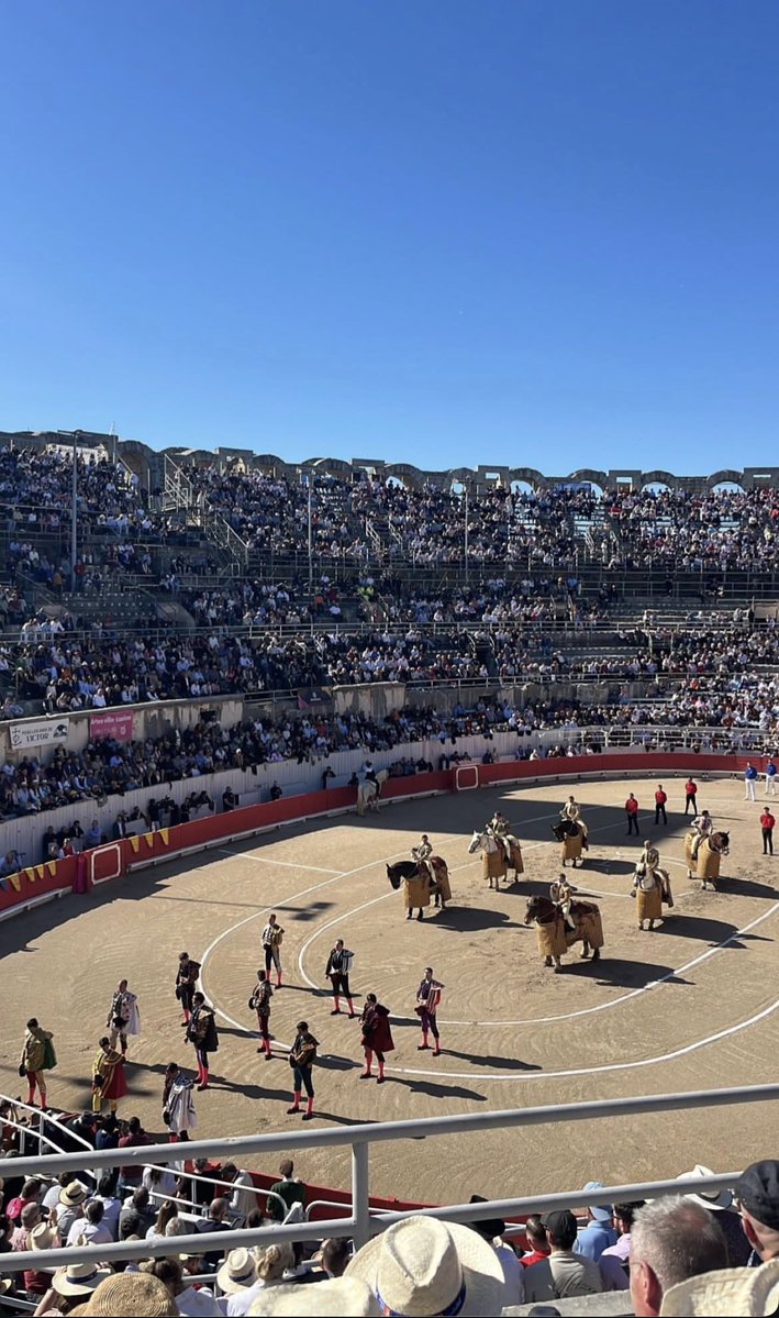 Al Toro Por los Cuernos tweet media