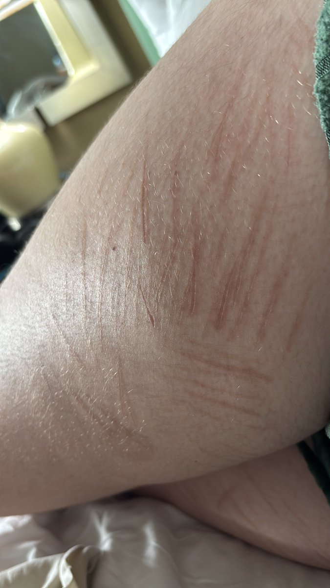 𓎟𓎟 Viktor of SHEDtwt .ᐟ tweet media