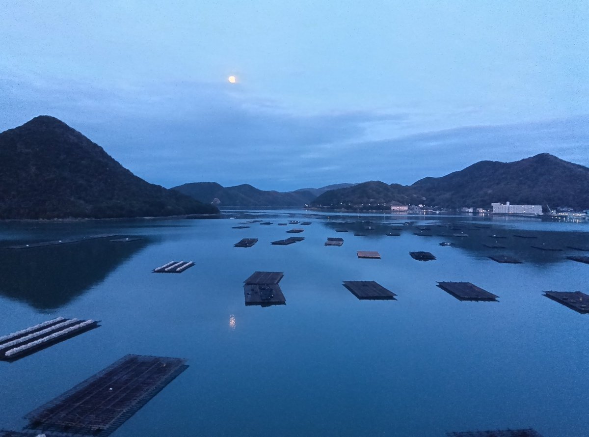 日焼けさん【ひとがたポケモン】 tweet media