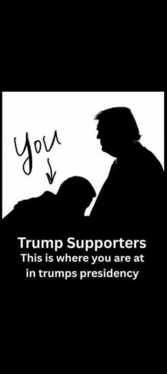 mar elizabeth tweet media