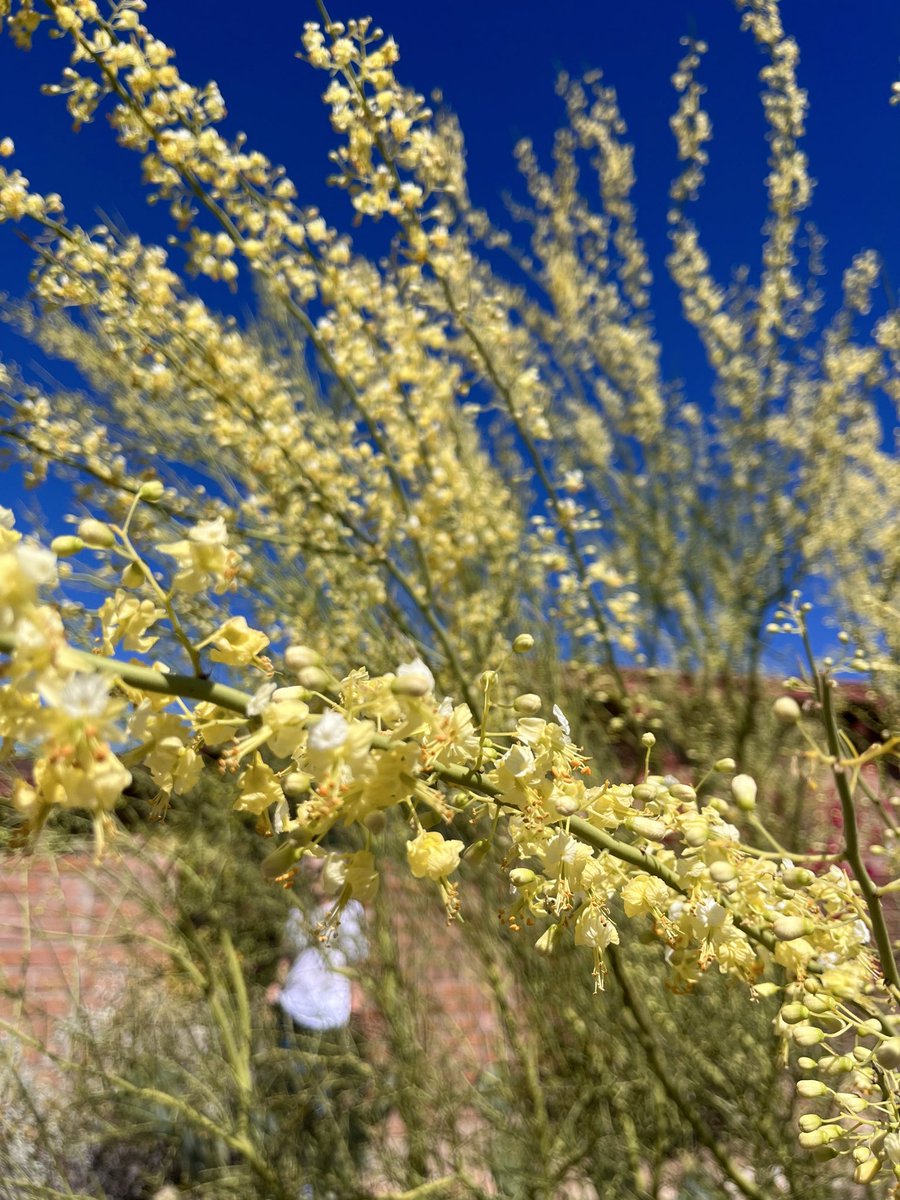 Pete Francis tweet media