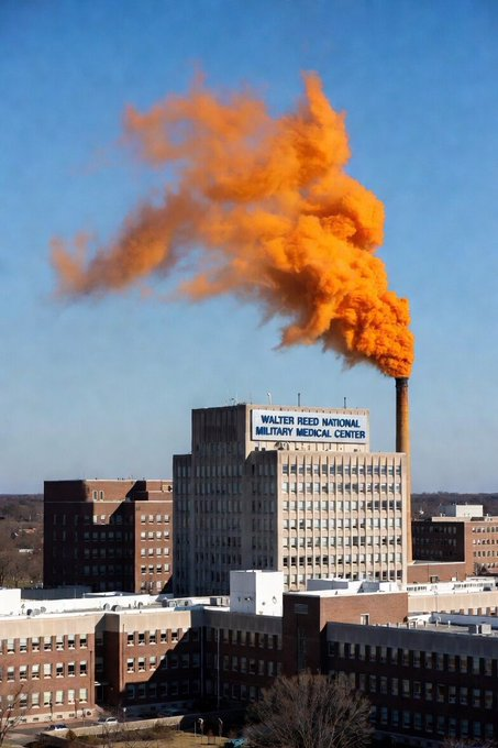 TruthMatters 🐸 tweet media