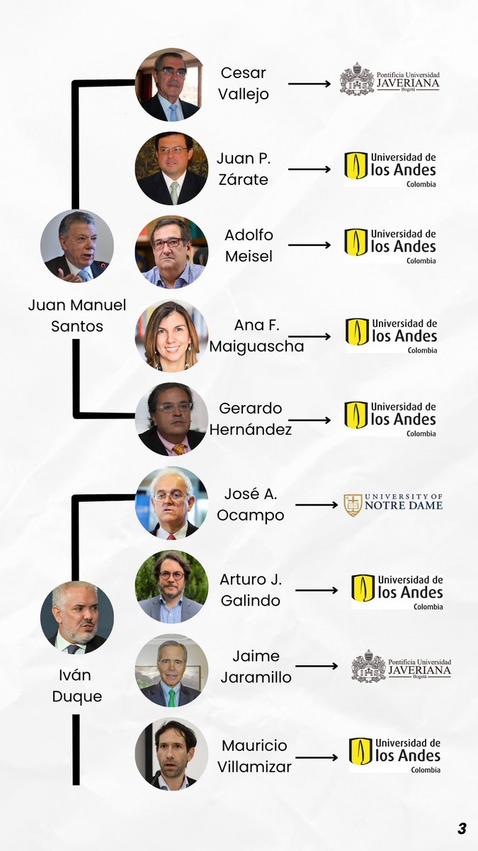 María José Navarro M tweet media