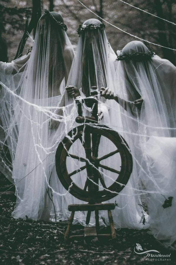 𝐋𝐀́𝐐𝐔𝐄𝐒𝐈𝐒. tweet media