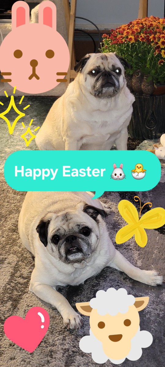 💗ANGELSARAH💗 S&O🍊 tweet media